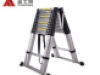 Ladder standard articulated ladder