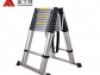 Ladder standard articulated ladder