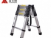 Ladder standard articulated ladder