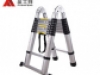 Ladder standard articulated ladder