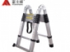 Ladder standard articulated ladder