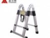 Ladder standard articulated ladder