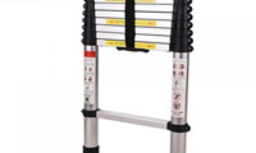 Disposable telescopic ladder