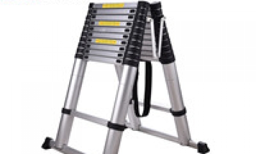 Ladder standard articulated ladder