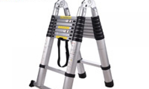 Ladder standard articulated ladder