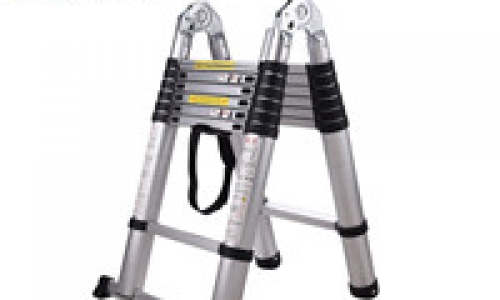 Ladder standard articulated ladder