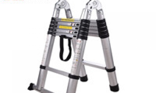 Ladder standard articulated ladder