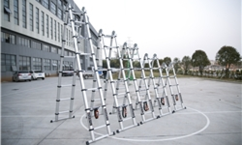 Enhanced multi function joint Ladder